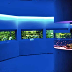 Ocean Aquarium