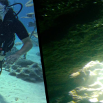 SCUBA Dive Cyprus